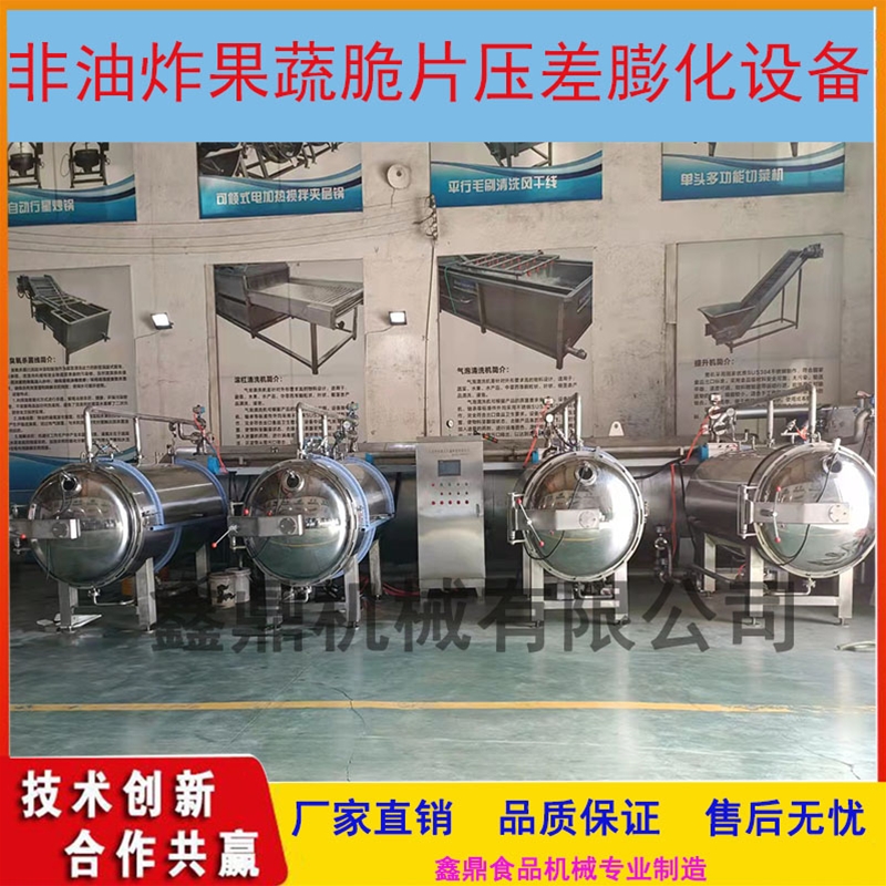 红枣脆片非油炸真空膨化机干燥机