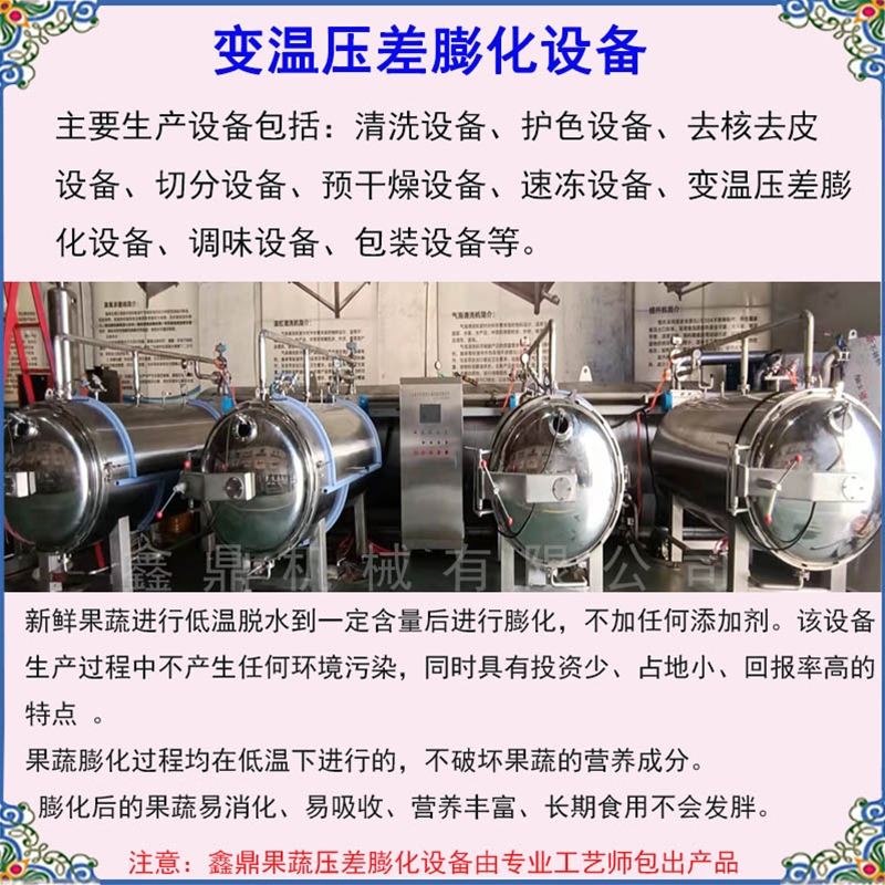 鑫鼎全自动果蔬膨化机价格 