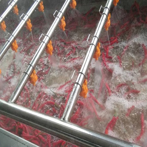 草莓清洗除杂生产线