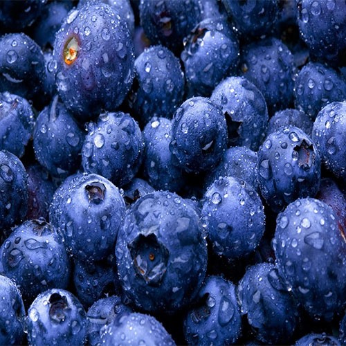 蓝莓清洗机 气泡清洗去果蔬农残效果好