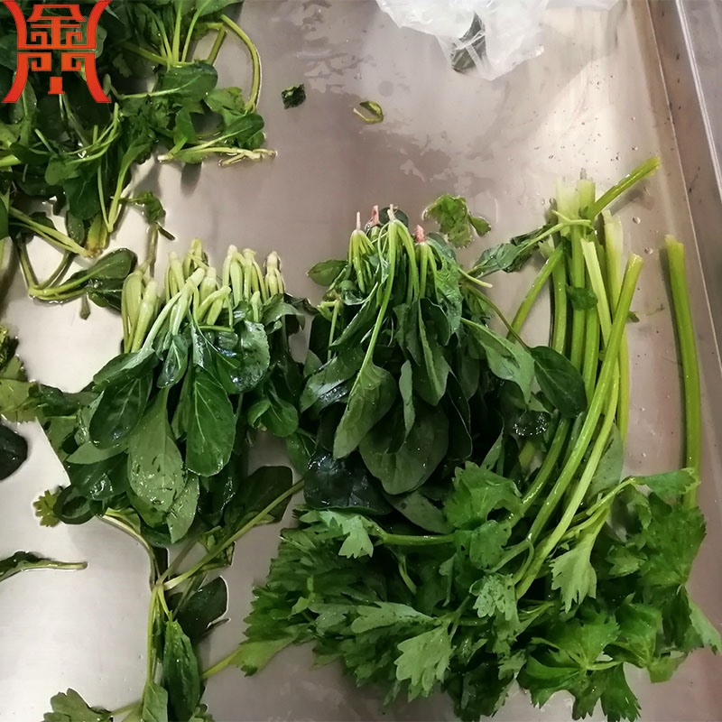 芹菜清洗机 叶茎类蔬菜清洗专用