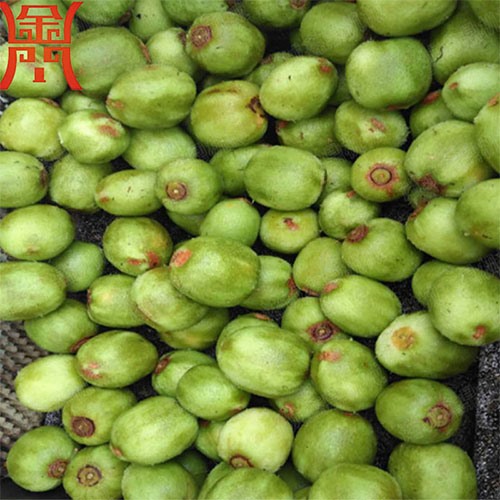 猕猴桃毛刷清洗机