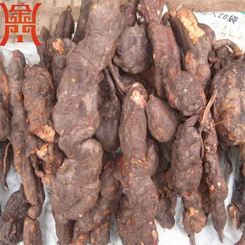 何首乌清洗机