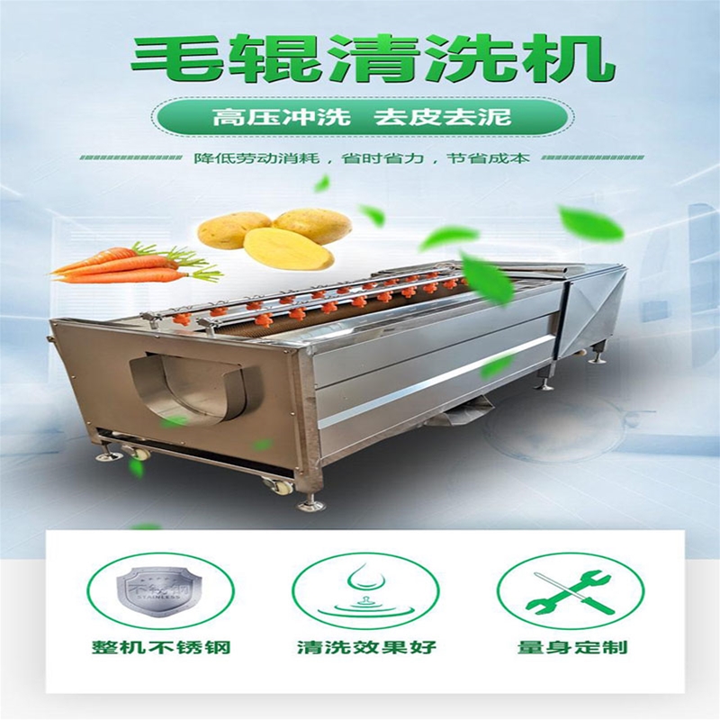  全自动清洗去皮设备